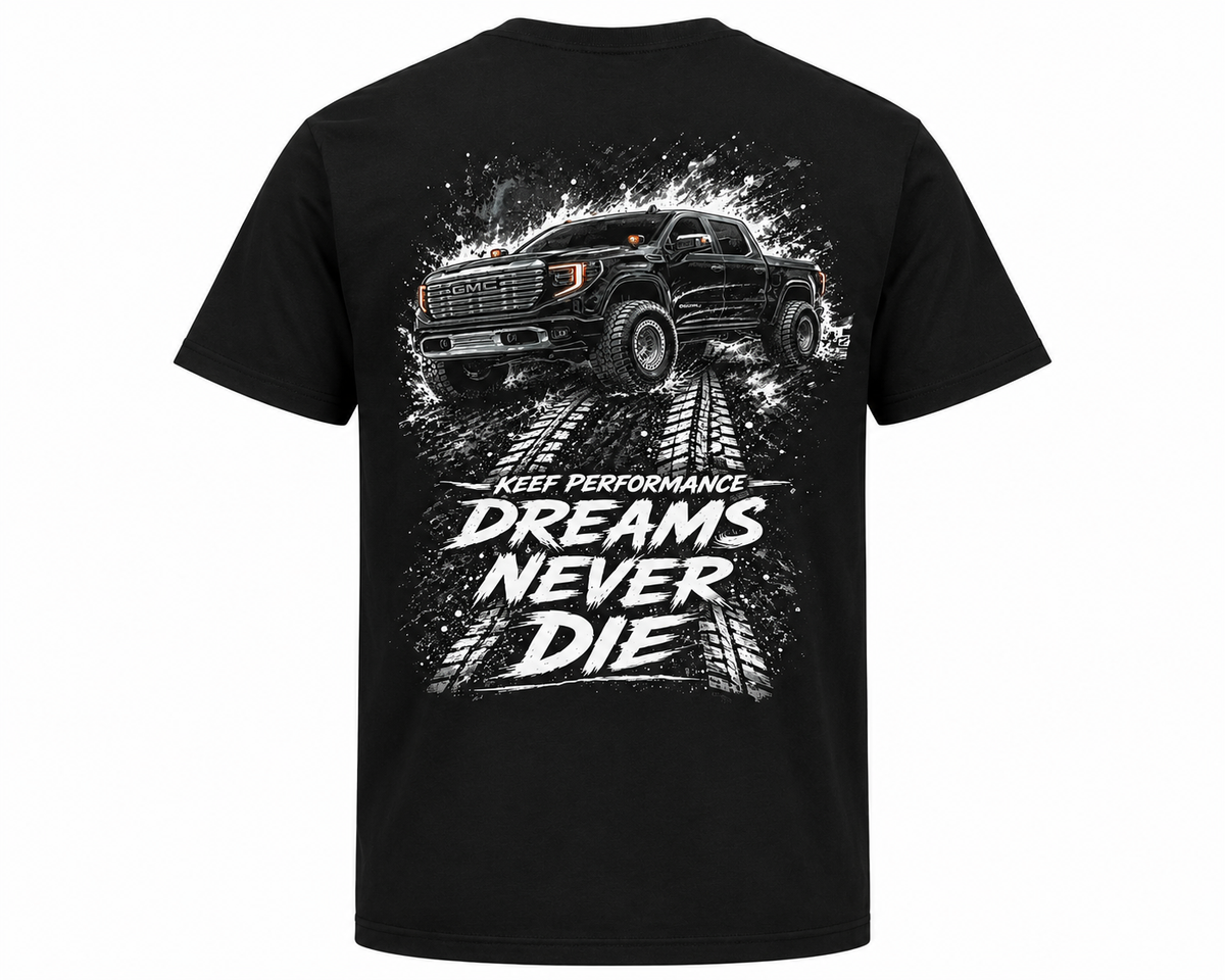 DENALI T -SHIRT